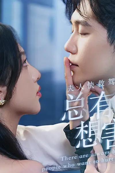 《夫人快救驾，总有刁民想害朕》封面