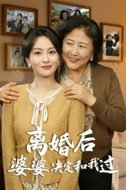 《离婚后婆婆决定和我过》封面