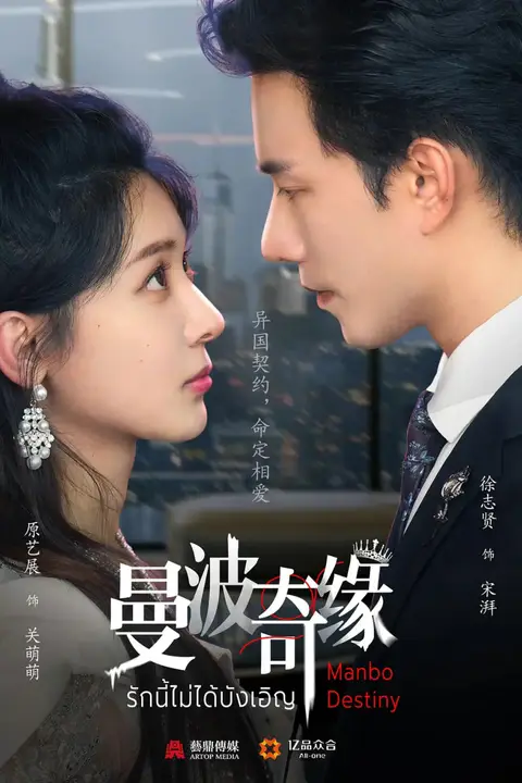 《曼波奇缘》封面