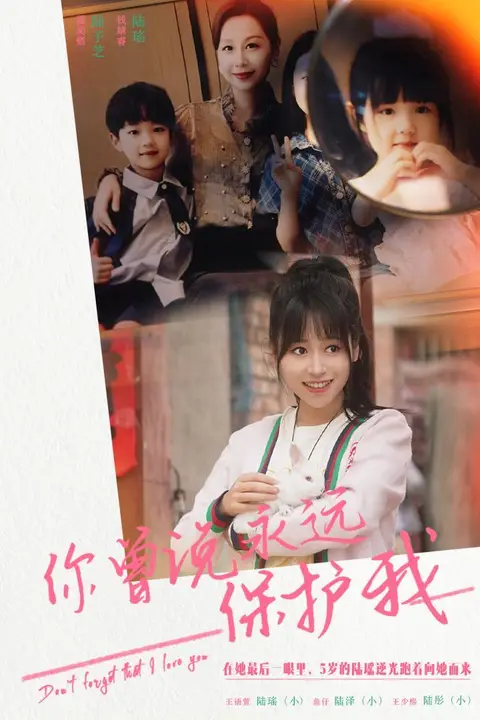 《你曾说永远保护我(假如爱可以重来)》封面