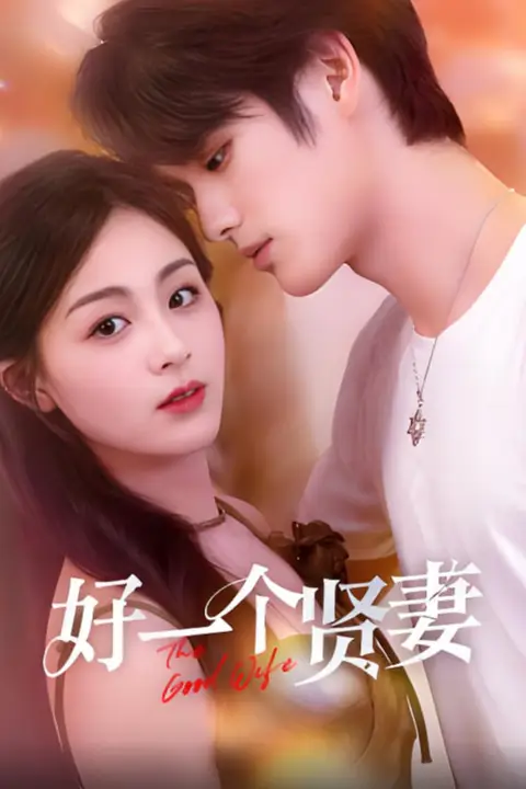 《好一个贤妻》封面