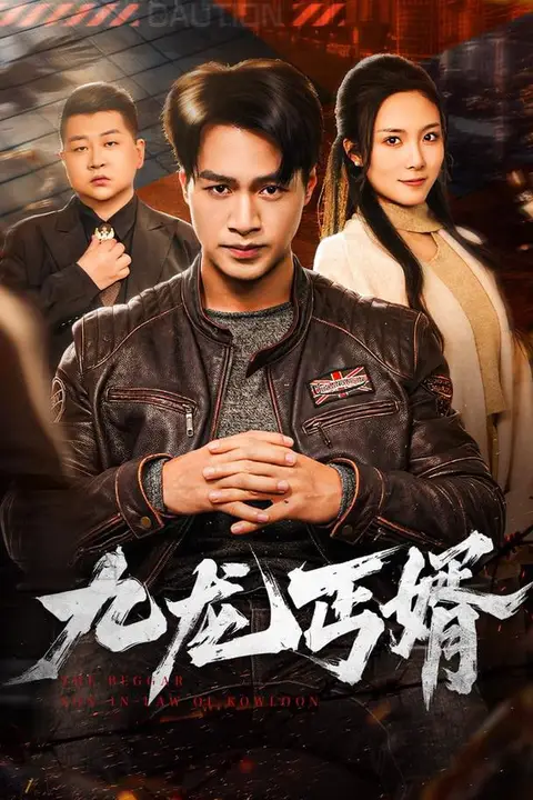 《九龙丐婿》封面