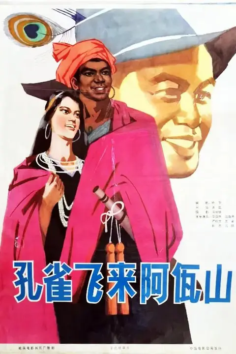 《孔雀飞来阿佤山》封面