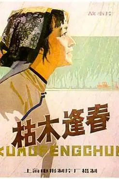 《枯木逢春》封面