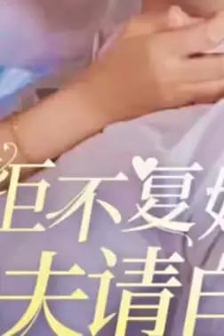 《拒不复婚,渣夫请自重》封面