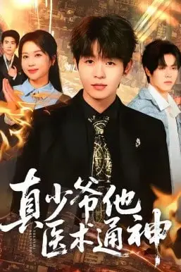 《真少爷他医术通神》封面