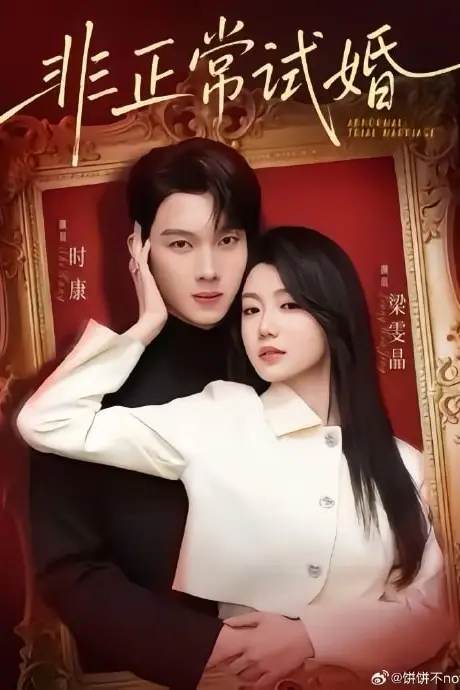 《非正常试婚》封面