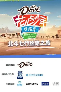 《北斗七行丝路之旅》封面