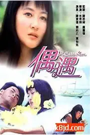 《偶遇》封面