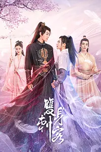 《双身刺客》封面