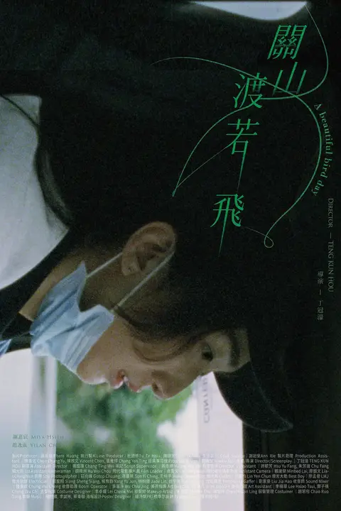《关山度若飞》封面