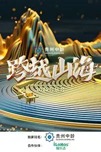 《跨越山海2024音乐会》封面