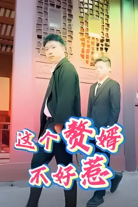 《这个赘婿不好惹》封面