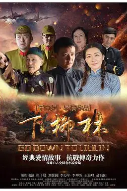 《下柳林》封面