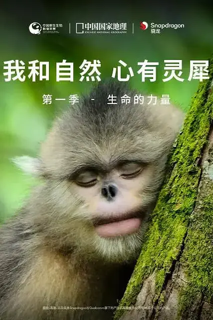 《我和自然 心有灵犀 第一季》封面
