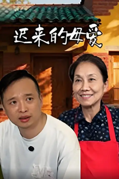 《迟来的母爱》封面