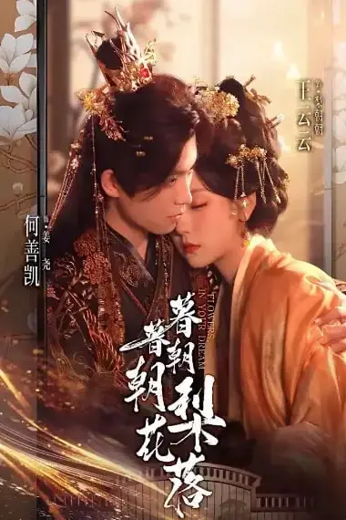 《暮暮朝朝梨花落》封面