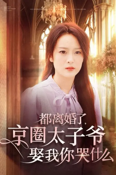 《都离婚了京圈太子爷娶我你哭什么》封面