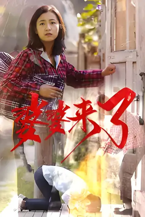 《安澜进城》封面