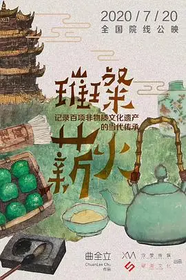 《璀璨薪火3D》封面