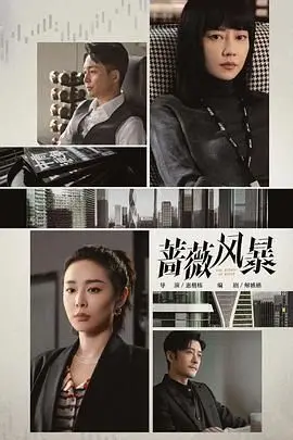 《蔷薇风暴》封面