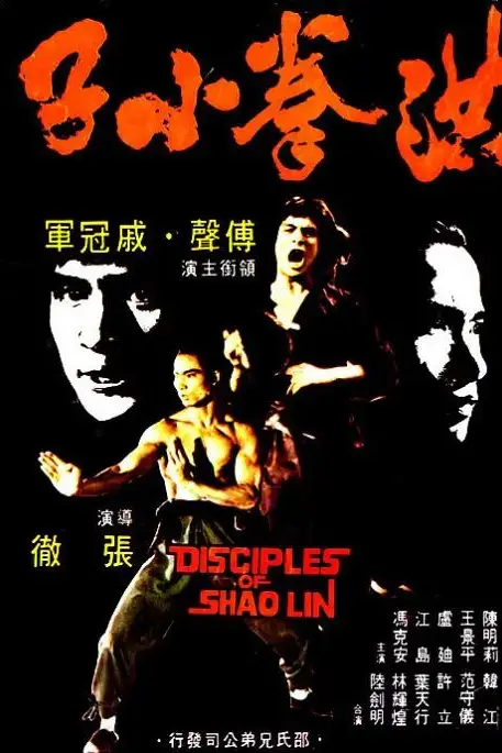 《洪拳小子》封面