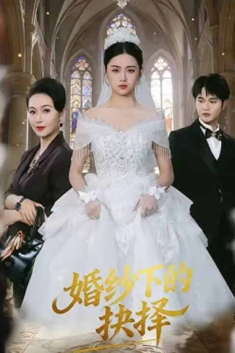 《婚纱下的抉择》封面