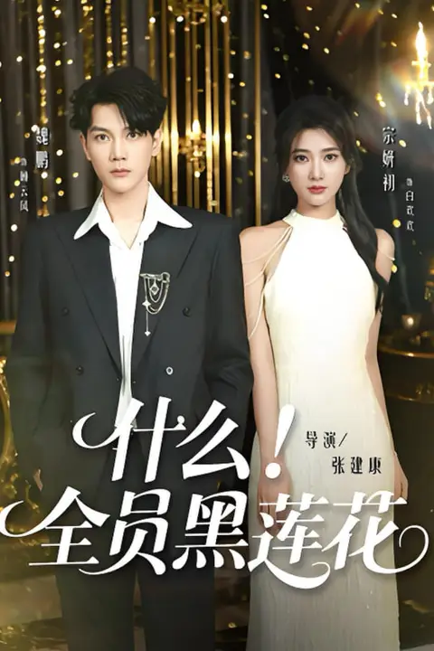 《什么全员黑莲花》封面