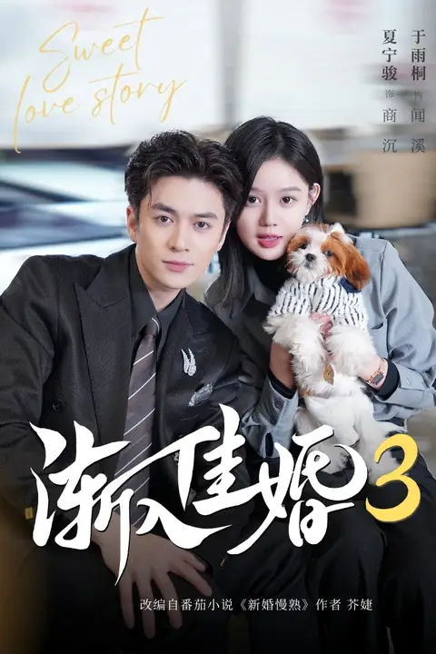 《渐入佳婚3第三部》封面