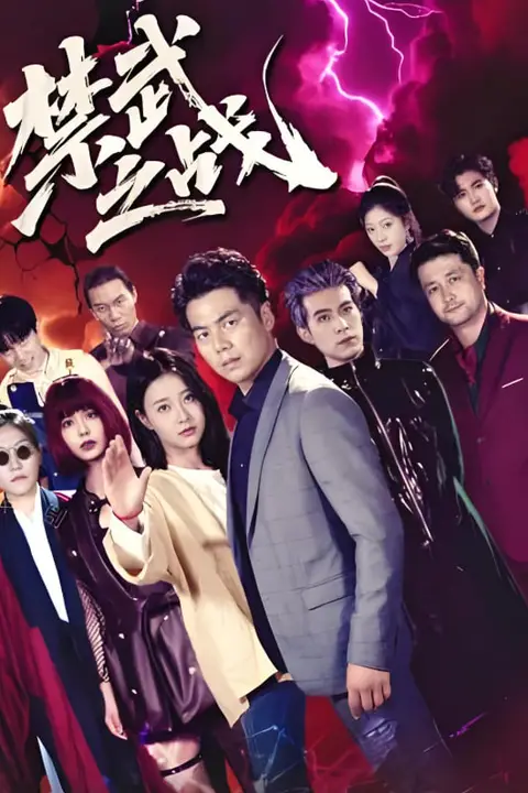 《禁武之战》封面