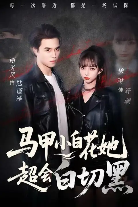 《马甲小白花她超会白切黑》封面