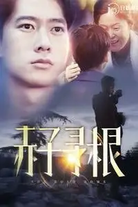 《赤子寻根》封面