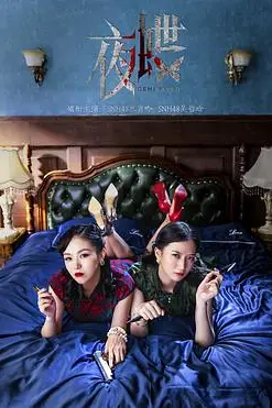 《夜蝶》封面