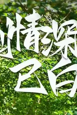 《爱到情深已白首》封面