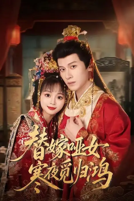 《替嫁哑女寒夜觅归鸿》封面