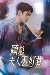 《顾总夫人不好惹》封面