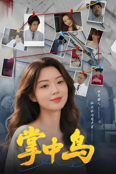 《掌中鸟》封面