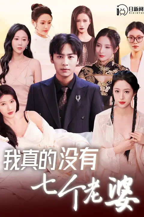《我真的没有七个老婆》封面