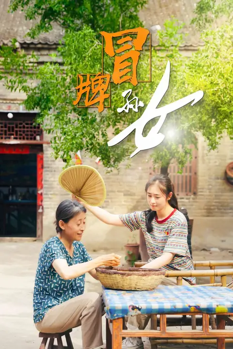 《冒牌孙女》封面