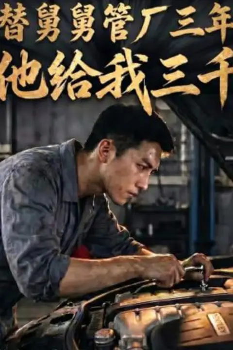《替舅舅管厂三年他给我三千》封面