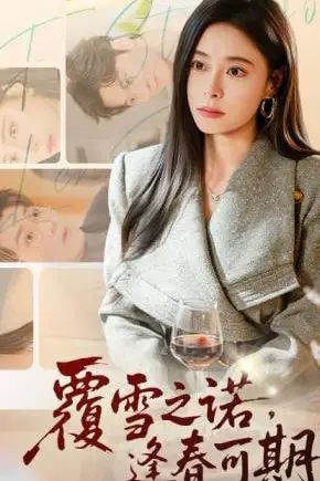 《覆雪之诺,逢春可期》封面