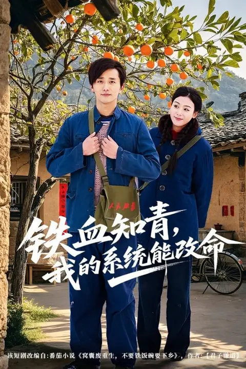 《铁血知青，我的系统能改命》封面