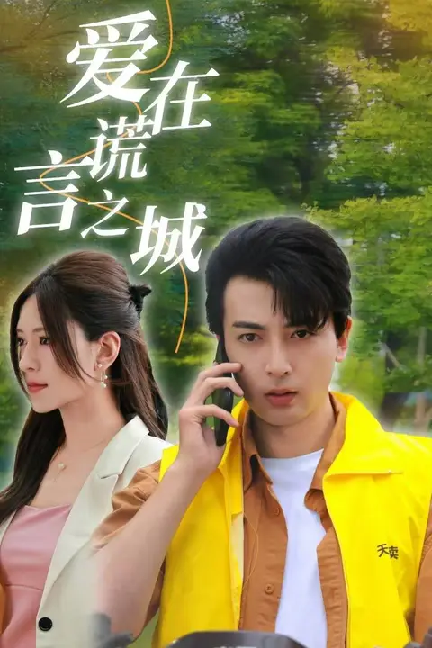 《爱在谎言之城》封面