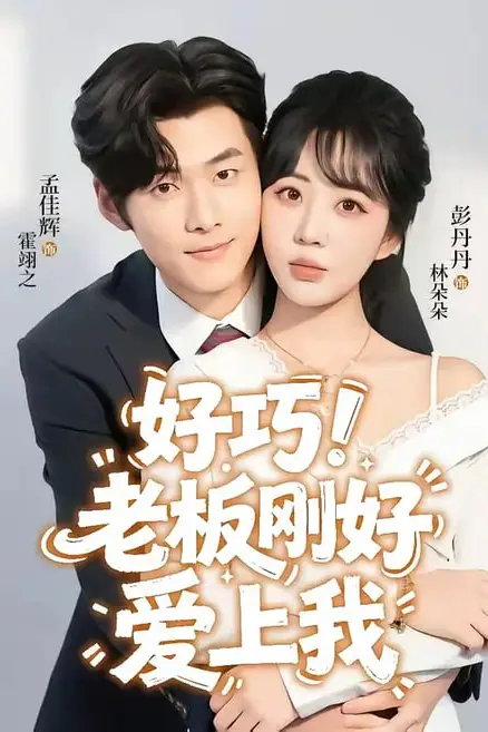 《好巧!老板刚好爱上我》封面