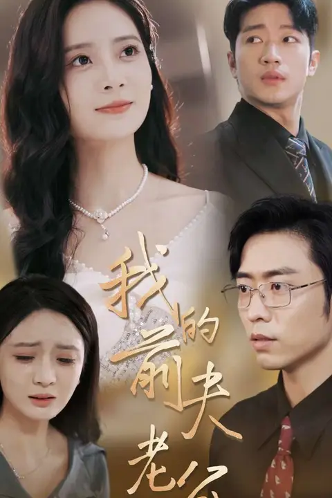 《我的前夫老公》封面