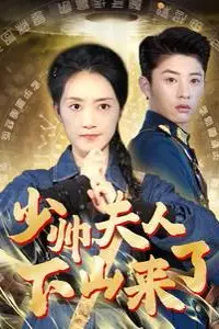 《少帅夫人下山来了》封面