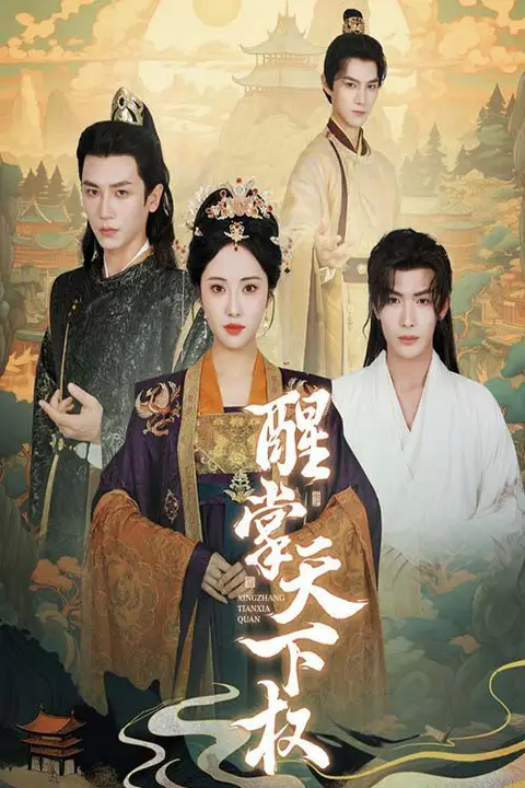 《醒掌天下权》封面
