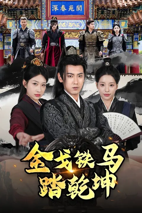 《金戈铁马踏乾坤》封面