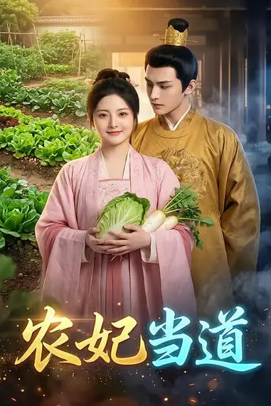 《农妃当道》封面