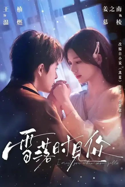 《雪落时见你》封面